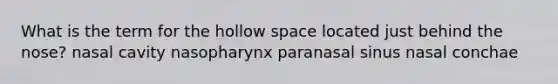 What is the term for the hollow space located just behind the nose? nasal cavity nasopharynx paranasal sinus nasal conchae