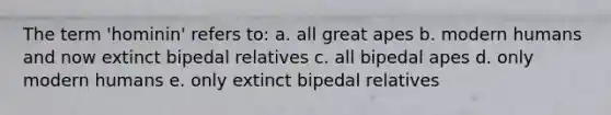 The term 'hominin' refers to: a. all great apes b. modern humans and now extinct bipedal relatives c. all bipedal apes d. only modern humans e. only extinct bipedal relatives