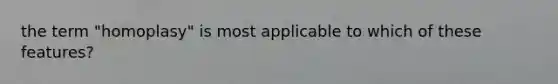 the term "homoplasy" is most applicable to which of these features?