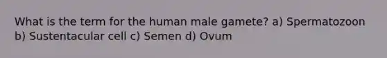 What is the term for the human male gamete? a) Spermatozoon b) Sustentacular cell c) Semen d) Ovum