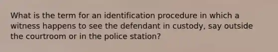 What is the term for an identification procedure in which a witness happens to see the defendant in custody, say outside the courtroom or in the police station?