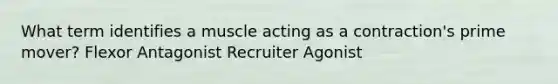 What term identifies a muscle acting as a contraction's prime mover? Flexor Antagonist Recruiter Agonist