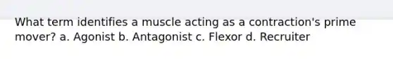 What term identifies a muscle acting as a contraction's prime mover? a. Agonist b. Antagonist c. Flexor d. Recruiter