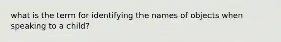 what is the term for identifying the names of objects when speaking to a child?