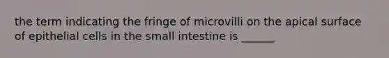 the term indicating the fringe of microvilli on the apical surface of epithelial cells in the small intestine is ______