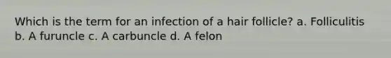 Which is the term for an infection of a hair follicle? a. Folliculitis b. A furuncle c. A carbuncle d. A felon