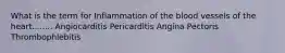 What is the term for Inflammation of the blood vessels of the heart........ Angiocarditis Pericarditis Angina Pectoris Thrombophlebitis