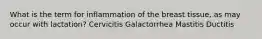 What is the term for inflammation of the breast tissue, as may occur with lactation? Cervicitis Galactorrhea Mastitis Ductitis