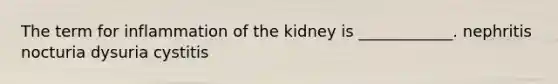 The term for inflammation of the kidney is ____________. nephritis nocturia dysuria cystitis