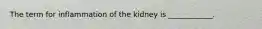 The term for inflammation of the kidney is ____________.