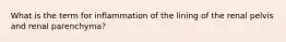 What is the term for inflammation of the lining of the renal pelvis and renal parenchyma?