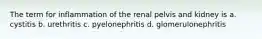 The term for inflammation of the renal pelvis and kidney is a. cystitis b. urethritis c. pyelonephritis d. glomerulonephritis