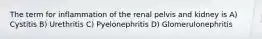 The term for inflammation of the renal pelvis and kidney is A) Cystitis B) Urethritis C) Pyelonephritis D) Glomerulonephritis