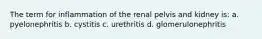 The term for inflammation of the renal pelvis and kidney is: a. pyelonephritis b. cystitis c. urethritis d. glomerulonephritis