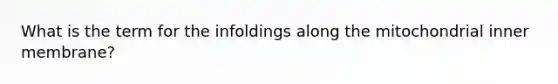 What is the term for the infoldings along the mitochondrial inner membrane?