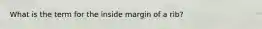 What is the term for the inside margin of a rib?