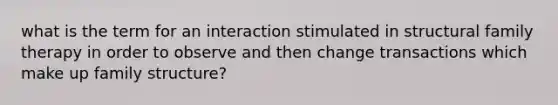 what is the term for an interaction stimulated in structural family therapy in order to observe and then change transactions which make up family structure?