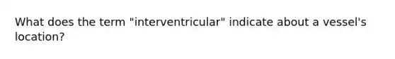 What does the term "interventricular" indicate about a vessel's location?