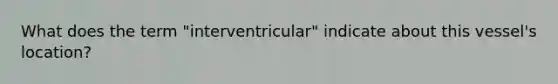 What does the term "interventricular" indicate about this vessel's location?