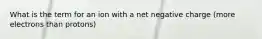 What is the term for an ion with a net negative charge (more electrons than protons)