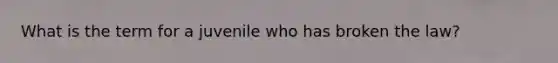 What is the term for a juvenile who has broken the law?