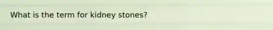 What is the term for kidney stones?