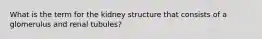 What is the term for the kidney structure that consists of a glomerulus and renal tubules?