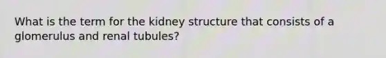 What is the term for the kidney structure that consists of a glomerulus and renal tubules?