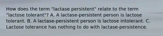 How does the term "lactase persistent" relate to the term "lactose tolerant"? A. A lactase-persistent person is lactose tolerant. B. A lactase-persistent person is lactose intolerant. C. Lactose tolerance has nothing to do with lactase-persistence.