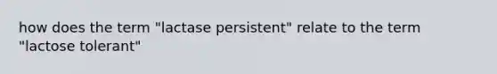 how does the term "lactase persistent" relate to the term "lactose tolerant"