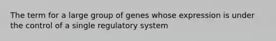 The term for a large group of genes whose expression is under the control of a single regulatory system