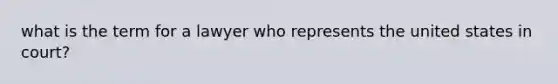 what is the term for a lawyer who represents the united states in court?