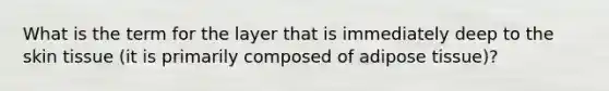 What is the term for the layer that is immediately deep to the skin tissue (it is primarily composed of adipose tissue)?