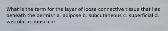 What is the term for the layer of loose connective tissue that lies beneath the dermis? a. adipose b. subcutaneous c. superficial d. vascular e. muscular