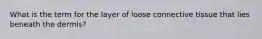 What is the term for the layer of loose connective tissue that lies beneath the dermis?