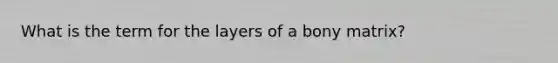 What is the term for the layers of a bony matrix?