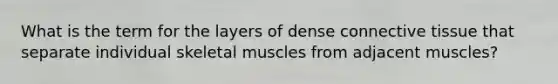 What is the term for the layers of dense connective tissue that separate individual skeletal muscles from adjacent muscles?