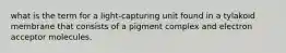 what is the term for a light-capturing unit found in a tylakoid membrane that consists of a pigment complex and electron acceptor molecules.