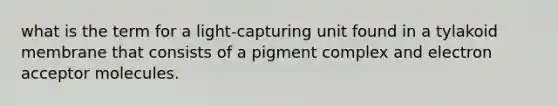 what is the term for a light-capturing unit found in a tylakoid membrane that consists of a pigment complex and electron acceptor molecules.