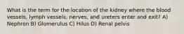 What is the term for the location of the kidney where the blood vessels, lymph vessels, nerves, and ureters enter and exit? A) Nephron B) Glomerulus C) Hilus D) Renal pelvis