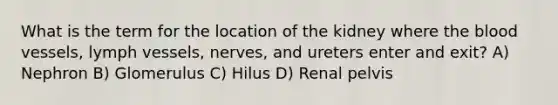 What is the term for the location of the kidney where the blood vessels, lymph vessels, nerves, and ureters enter and exit? A) Nephron B) Glomerulus C) Hilus D) Renal pelvis