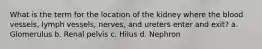 What is the term for the location of the kidney where the blood vessels, lymph vessels, nerves, and ureters enter and exit? a. Glomerulus b. Renal pelvis c. Hilus d. Nephron