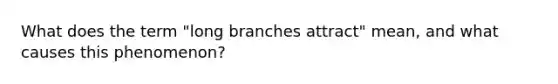 What does the term "long branches attract" mean, and what causes this phenomenon?