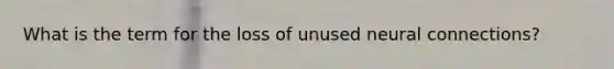 What is the term for the loss of unused neural connections?