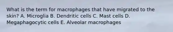 What is the term for macrophages that have migrated to the skin? A. Microglia B. Dendritic cells C. Mast cells D. Megaphagocytic cells E. Alveolar macrophages