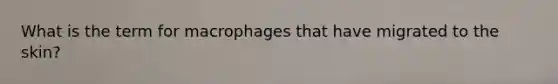 What is the term for macrophages that have migrated to the skin?