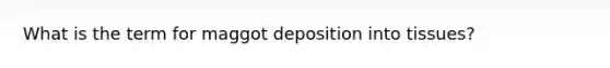 What is the term for maggot deposition into tissues?