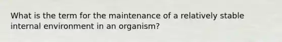 What is the term for the maintenance of a relatively stable internal environment in an organism?