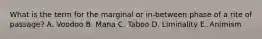 What is the term for the marginal or in-between phase of a rite of passage? A. Voodoo B. Mana C. Taboo D. Liminality E. Animism