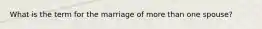 What is the term for the marriage of more than one spouse?